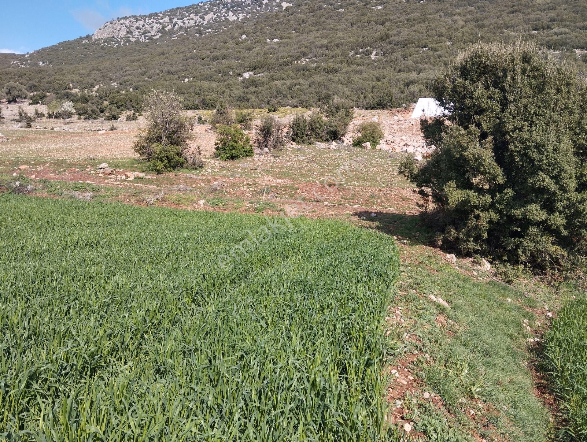 Manzaralı Su Elektrik Sorunu Yok Bağsaray Köyünde - Görsel 11
