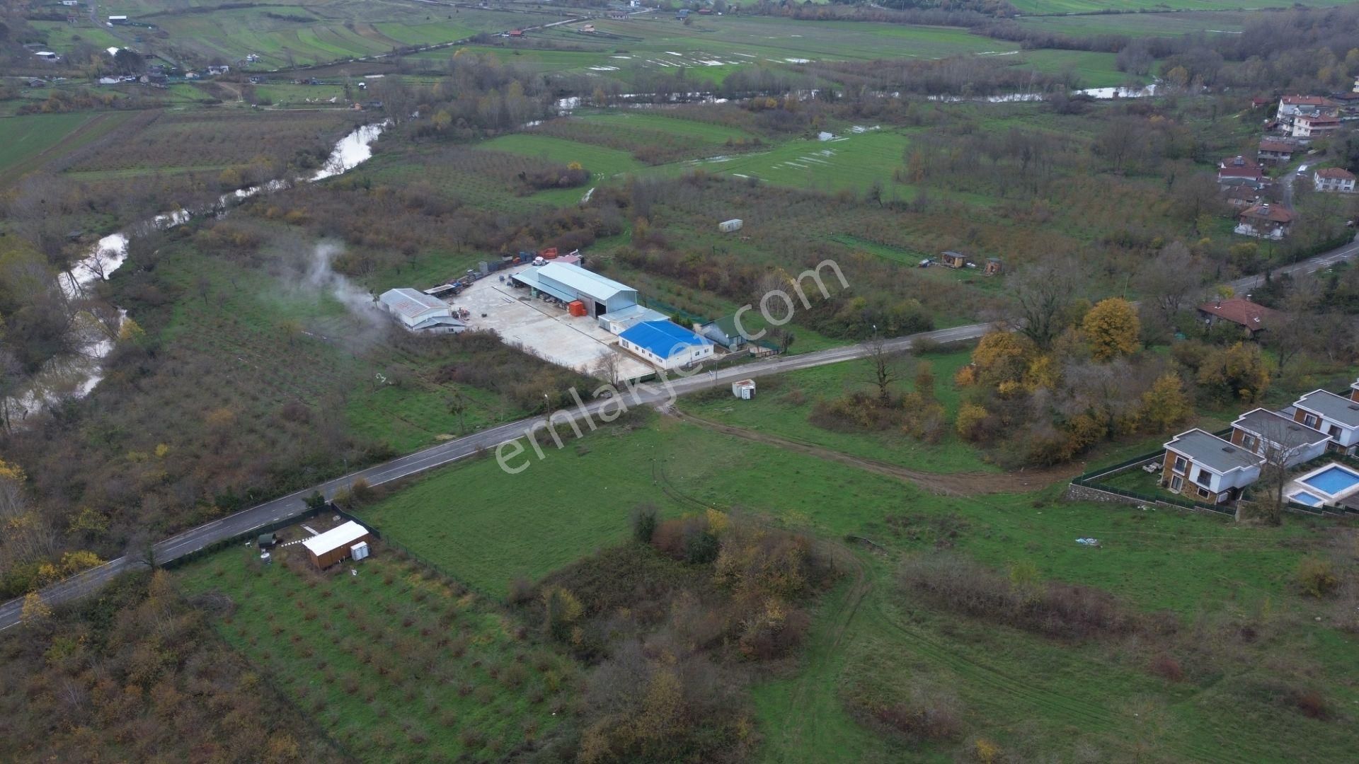 Dc Gayrimenkul'den Şile Geredelide 5.5m Yola Cephe 349m2 Arazi - Görsel 4