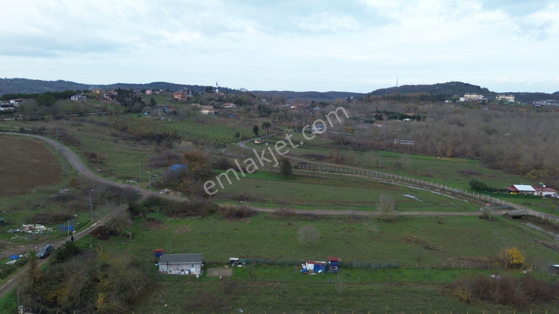 Dc Gayrimenkul'den Göçe Köyünde 558m2 Yola Cephe Arazi - Görsel 5