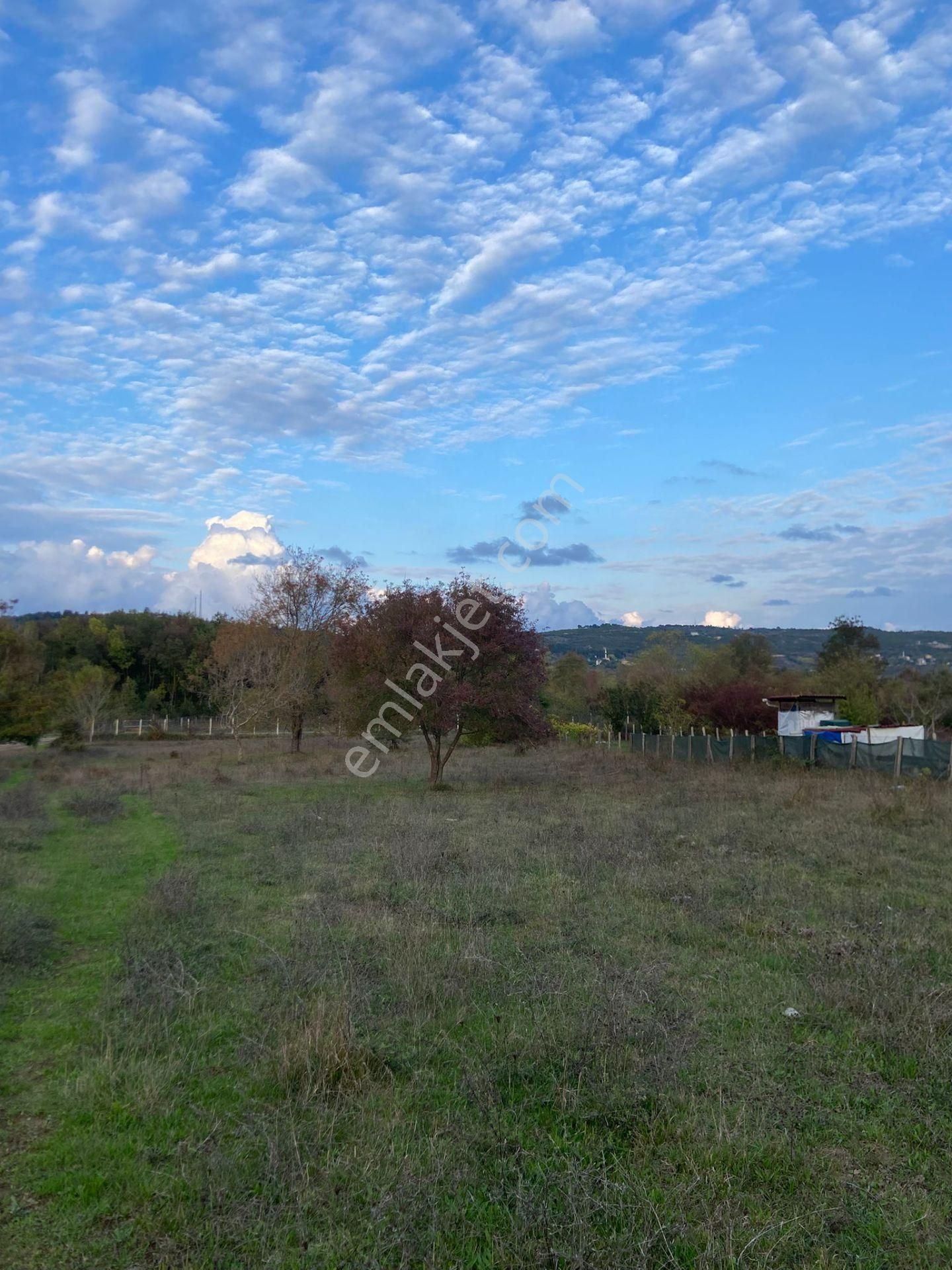 Dc Gayrimenkul'den Göçe Köyünde 558m2 Yola Cephe Arazi - Görsel 7