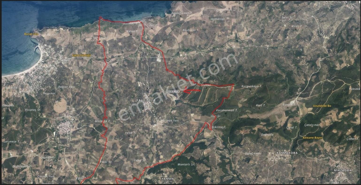 Mudanya Yalıçiftlik Ayazma Mevkiinde Zeytinlik 700.000tl - Görsel 9