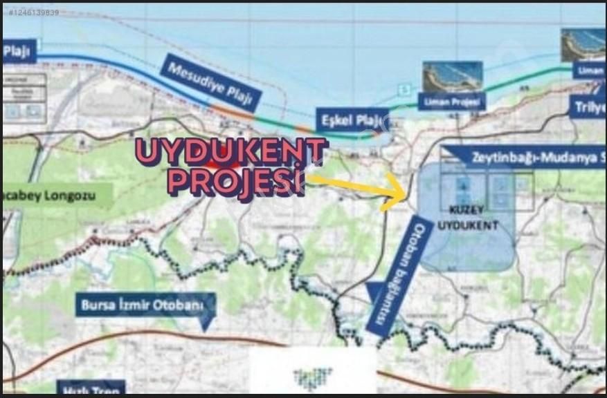 Mudanya Yalıçiftlik Ayazma Mevkiinde Zeytinlik 700.000tl - Görsel 5
