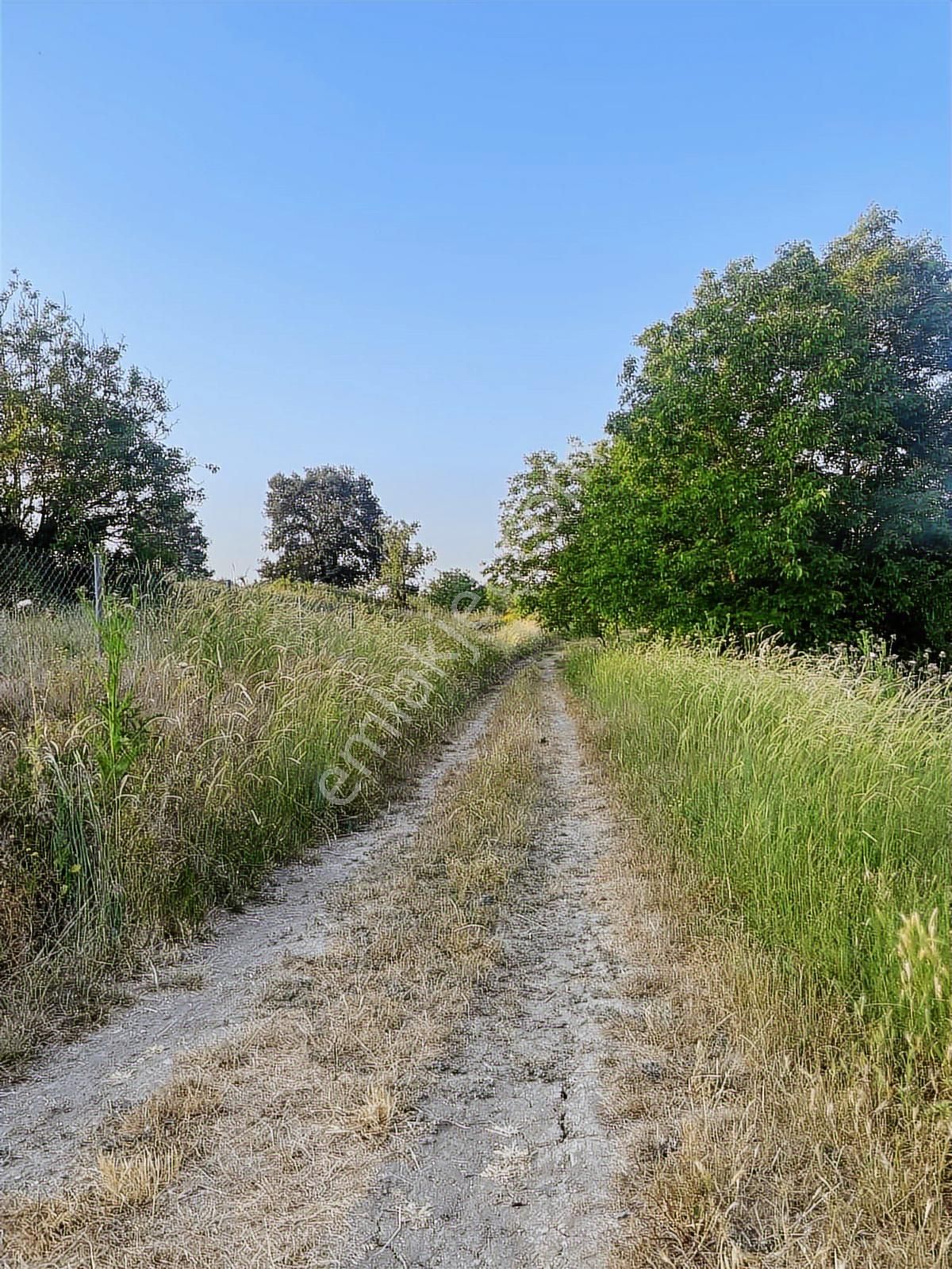Anka Gayrimenkulden Yenışehirde Satılık Ceviz Bahçesi - Görsel 11