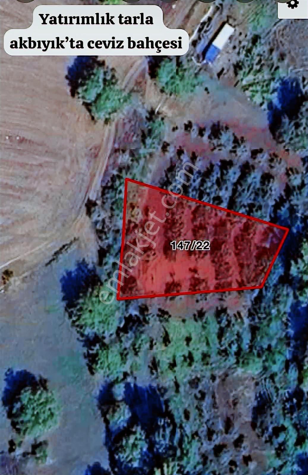 Anka Gayrimenkulden Yenışehirde Satılık Ceviz Bahçesi - Görsel 17