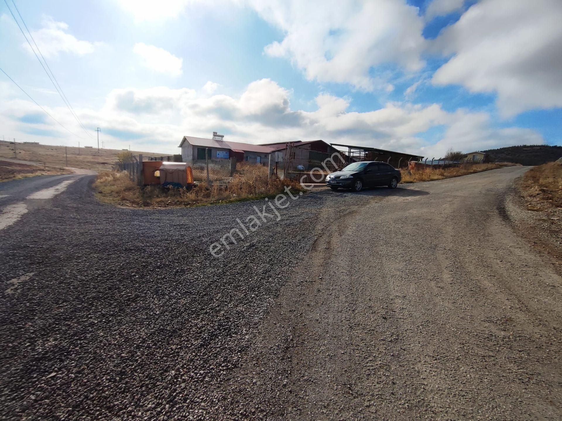 Beyşehir Organize Hayvancılık Sahası İçinde Satılık 100 Büyük Baş Hayan Çiftliği - Görsel 21