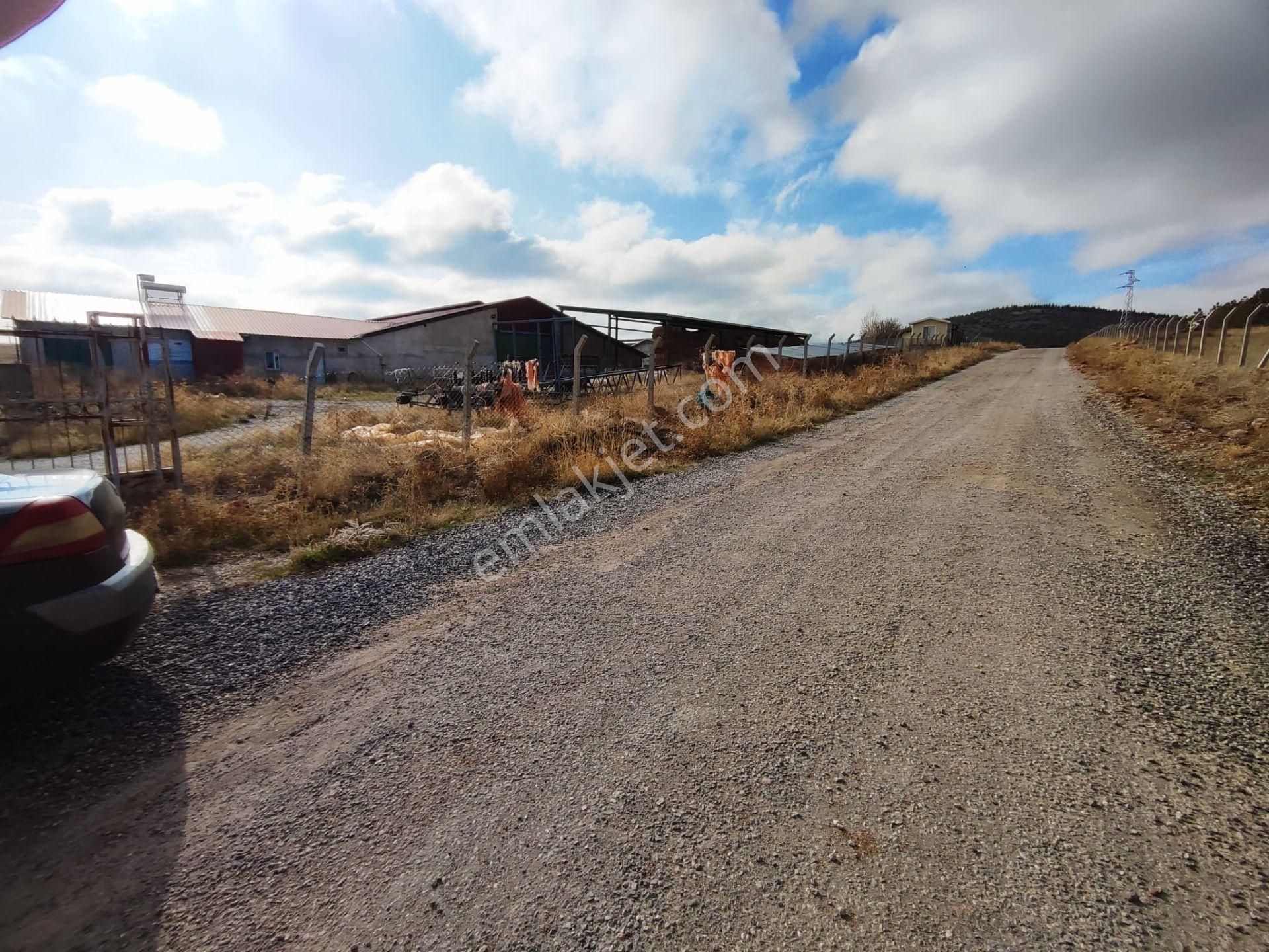 Beyşehir Organize Hayvancılık Sahası İçinde Satılık 100 Büyük Baş Hayan Çiftliği - Görsel 11