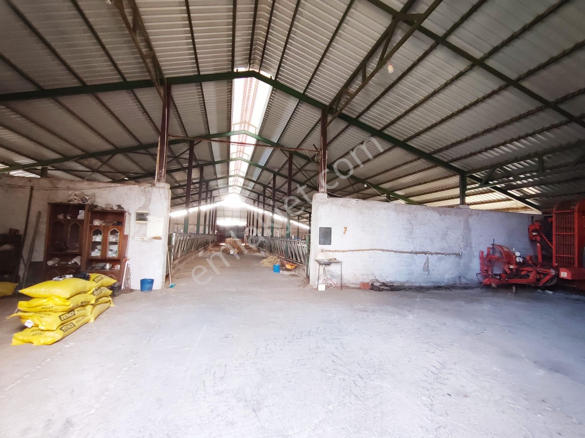 Beyşehir Organize Hayvancılık Sahası İçinde Satılık 100 Büyük Baş Hayan Çiftliği - Görsel 13