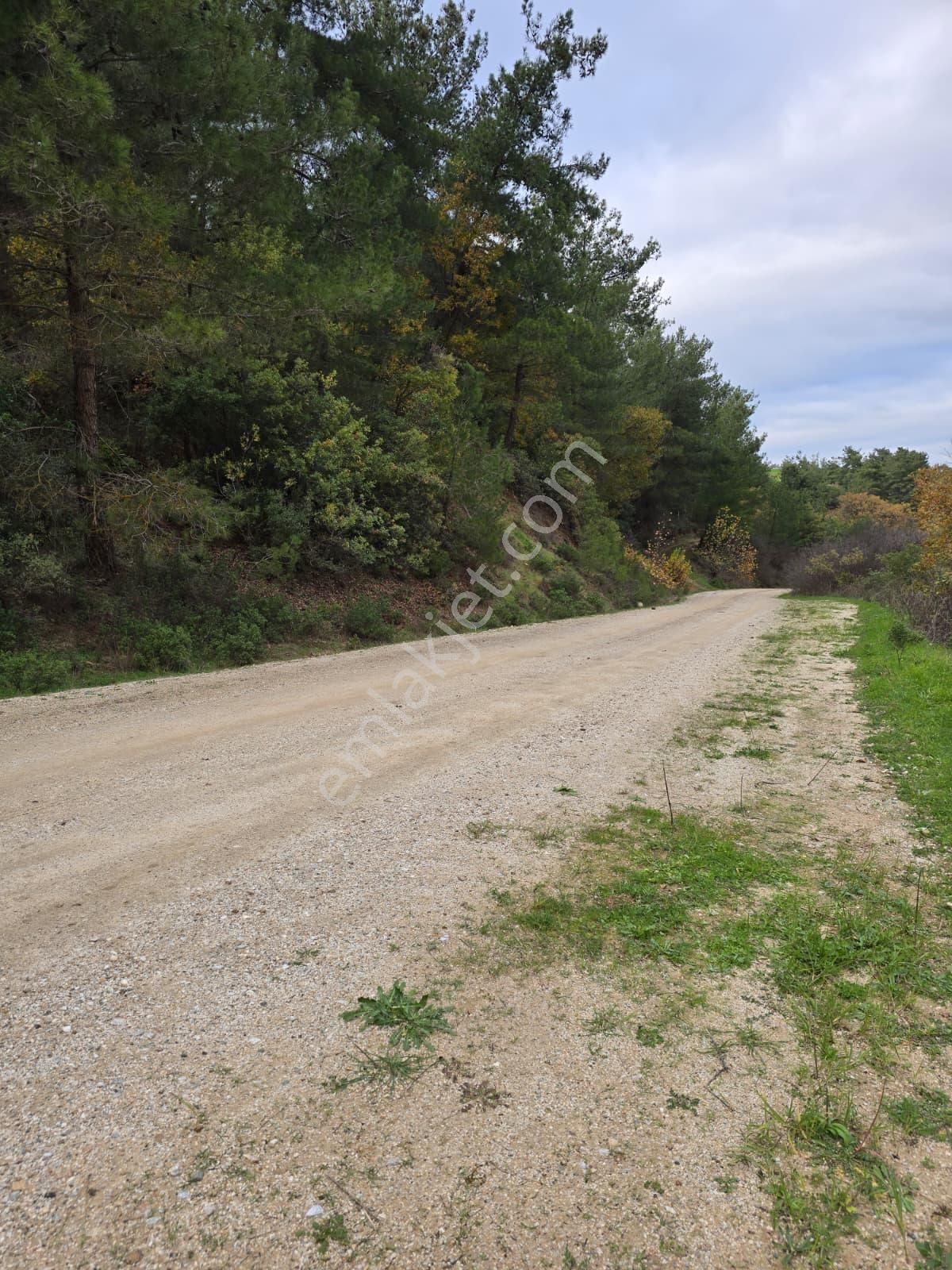 Çanakkale Merkez Elmacık Köyü’nde Satılık Müstakil Tapulu Arazi - Görsel 4