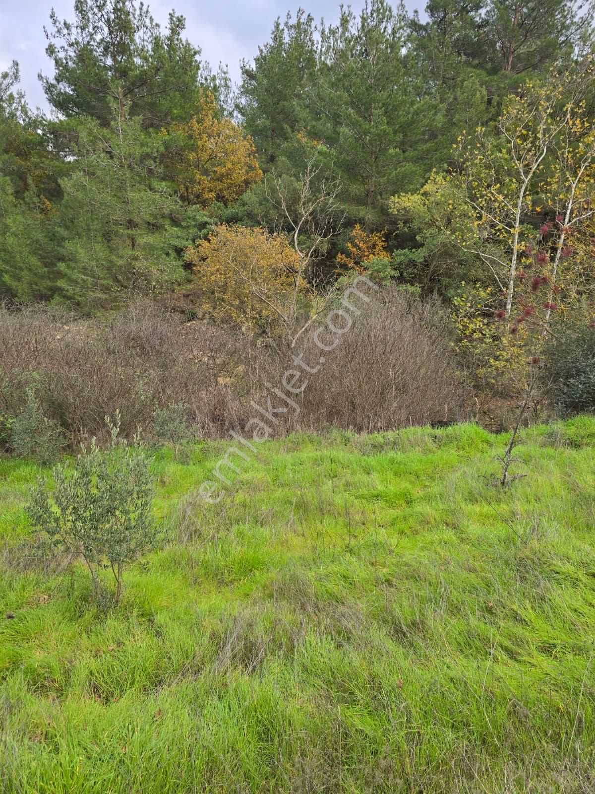 Çanakkale Merkez Elmacık Köyü’nde Satılık Müstakil Tapulu Arazi - Görsel 22