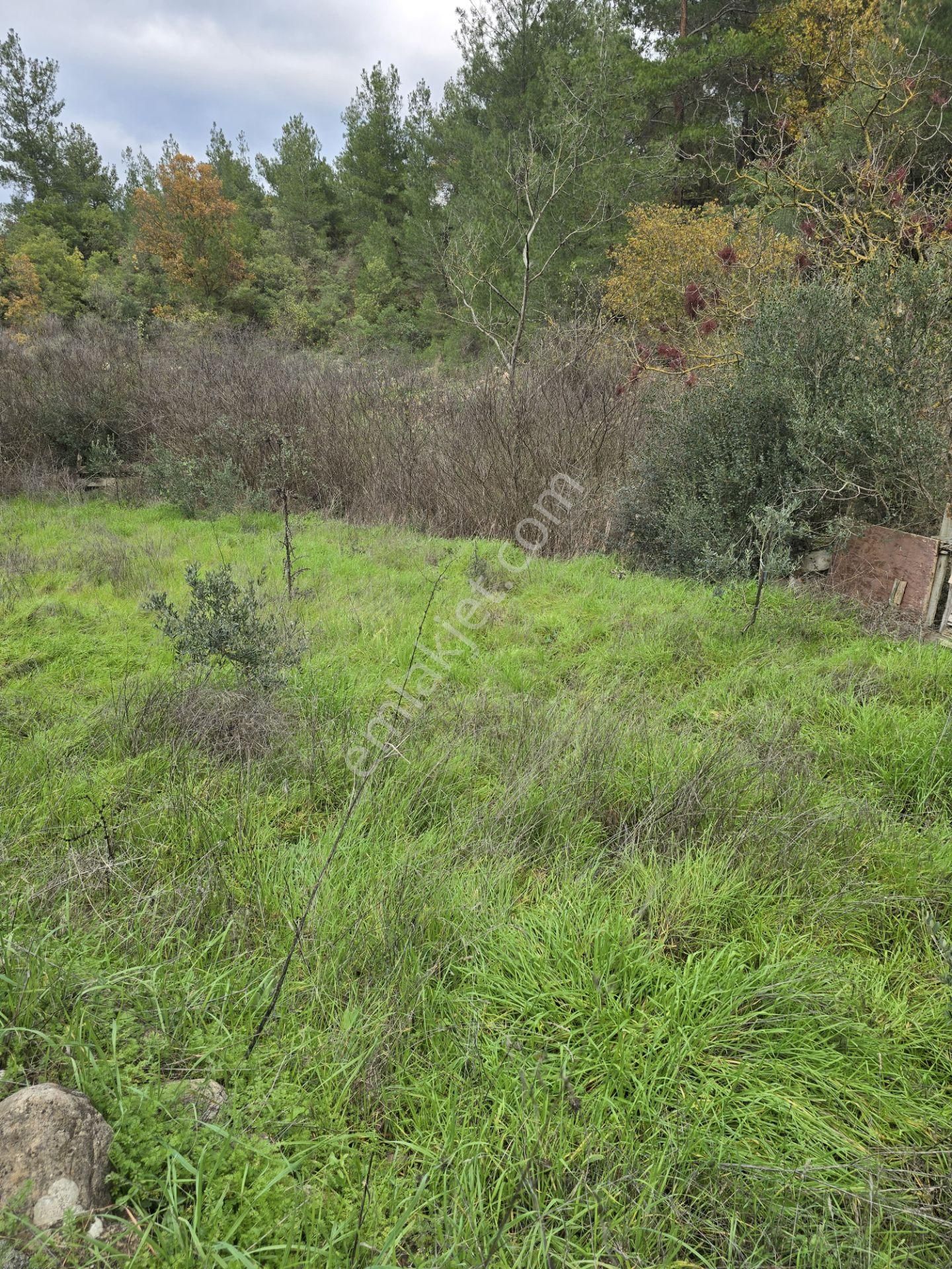 Çanakkale Merkez Elmacık Köyü’nde Satılık Müstakil Tapulu Arazi - Görsel 14