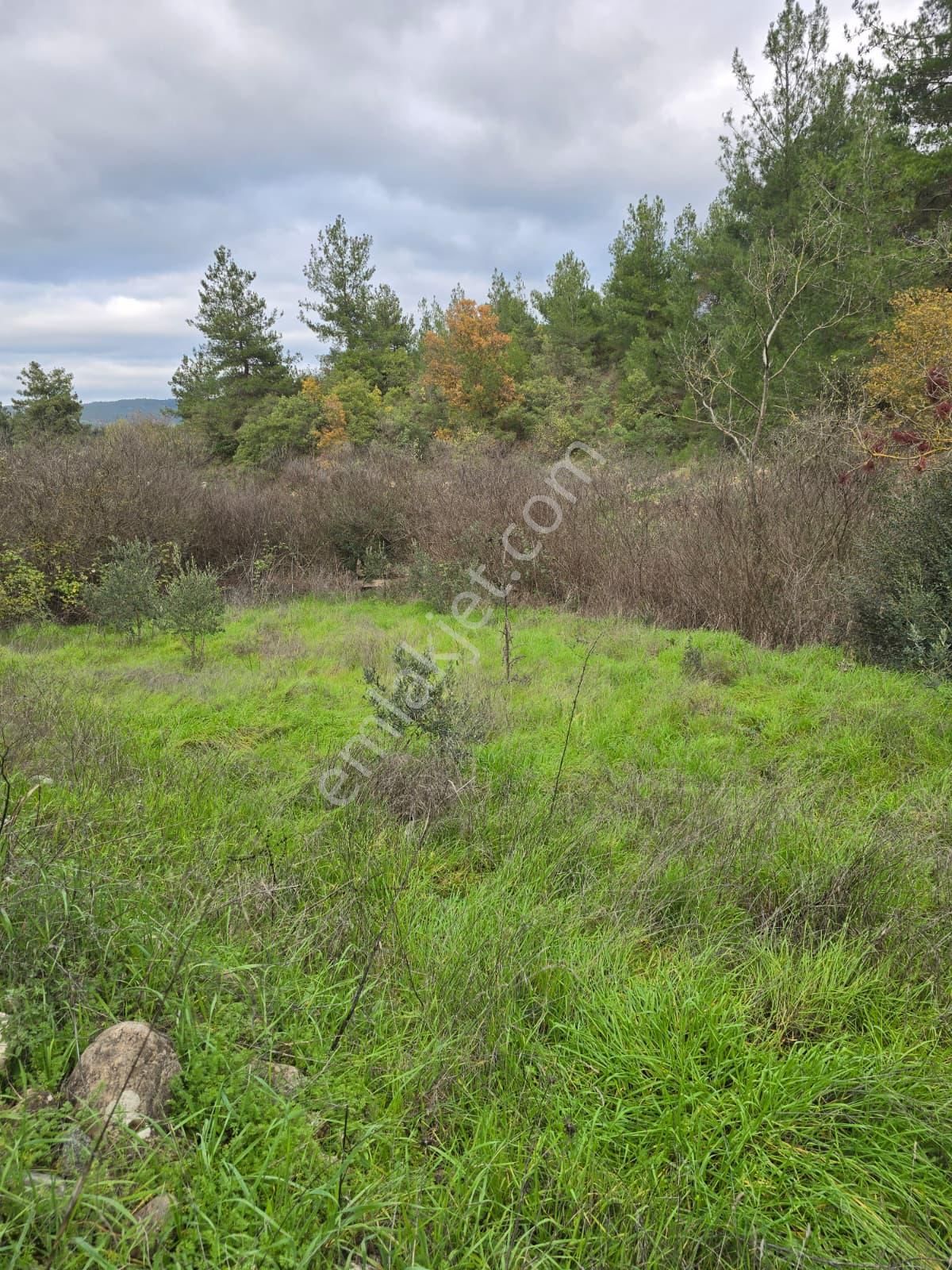 Çanakkale Merkez Elmacık Köyü’nde Satılık Müstakil Tapulu Arazi - Görsel 31