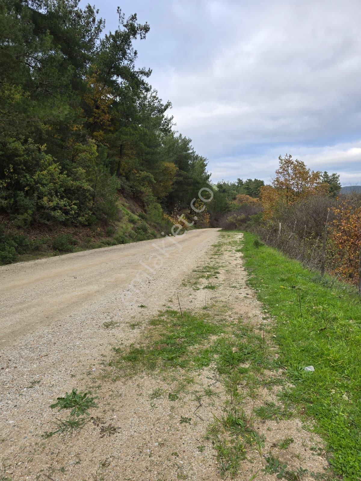 Çanakkale Merkez Elmacık Köyü’nde Satılık Müstakil Tapulu Arazi - Görsel 19