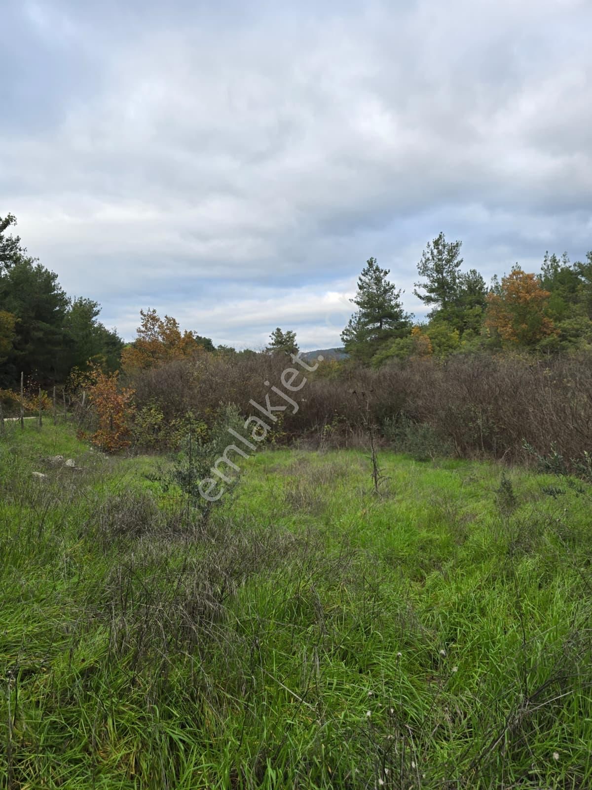 Çanakkale Merkez Elmacık Köyü’nde Satılık Müstakil Tapulu Arazi - Görsel 7