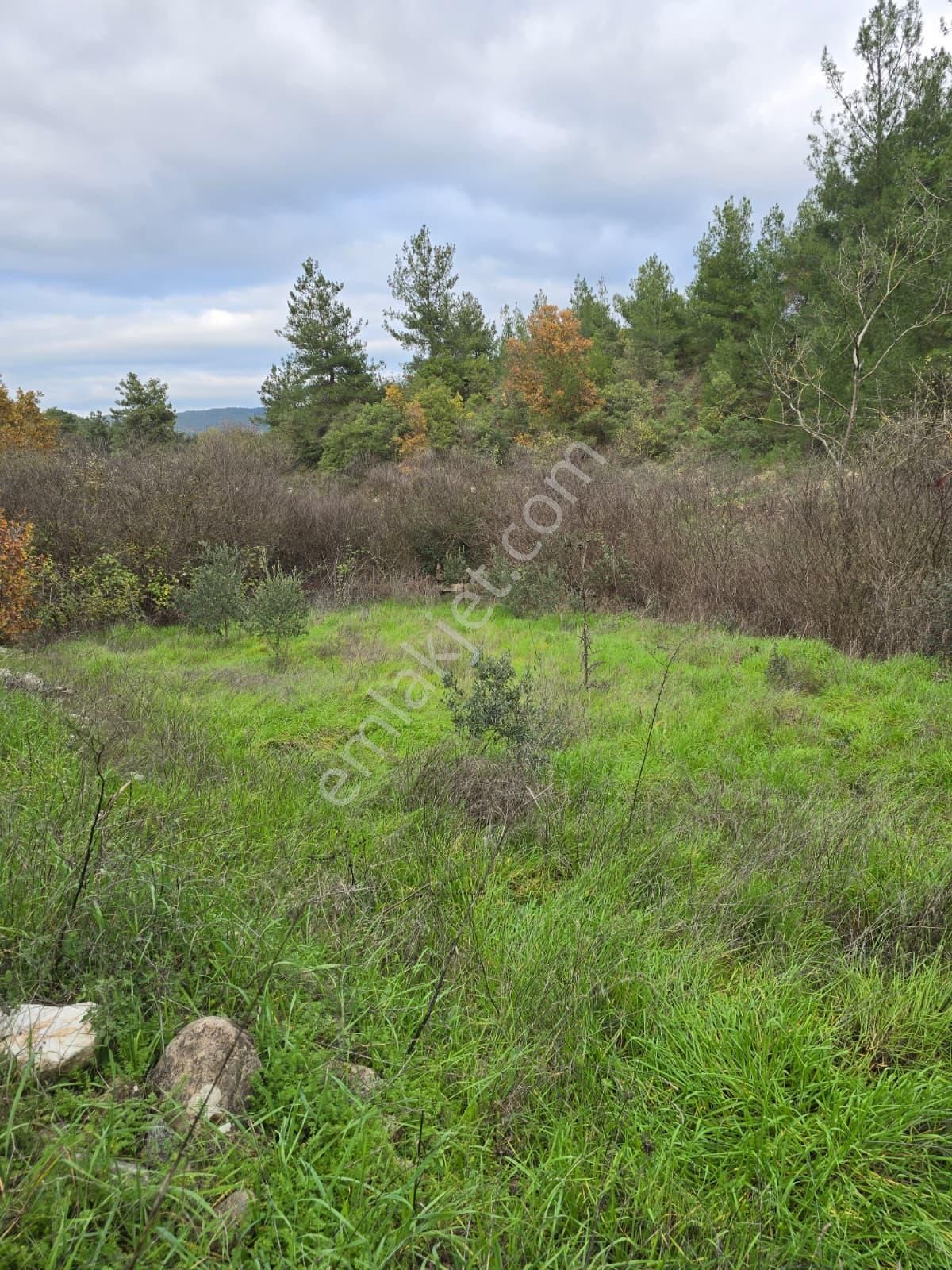 Çanakkale Merkez Elmacık Köyü’nde Satılık Müstakil Tapulu Arazi - Görsel 23