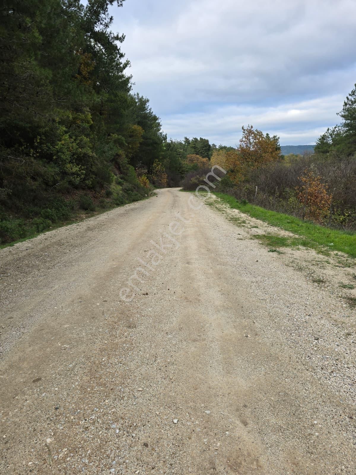 Çanakkale Merkez Elmacık Köyü’nde Satılık Müstakil Tapulu Arazi - Görsel 10