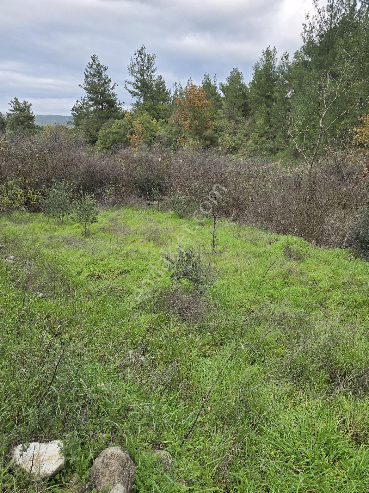 Çanakkale Merkez Elmacık Köyü’nde Satılık Müstakil Tapulu Arazi - Görsel 26