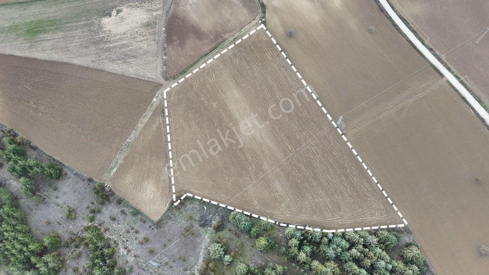 Vepaş'tan Tikenli Mahallesi Satılık 15.600 M² Tarla - Görsel 2