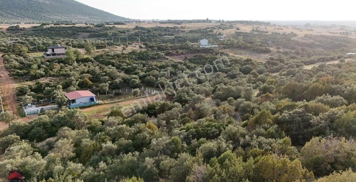 Didim Kardelen Mevkiinde Satılık Müstakil Arsa - Görsel 17