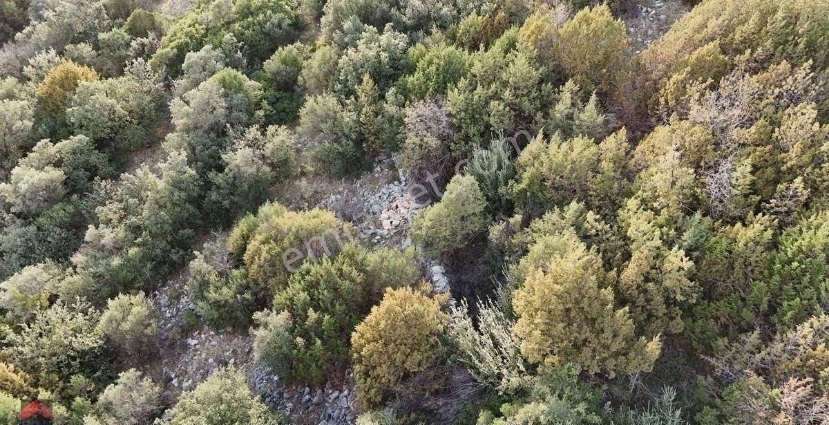 Didim Kardelen Mevkiinde Satılık Müstakil Arsa - Görsel 25