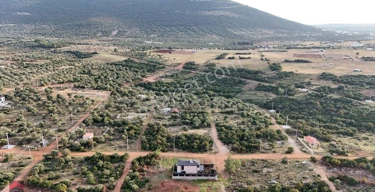Didim Kardelen Mevkiinde Satılık Müstakil Arsa - Görsel 7