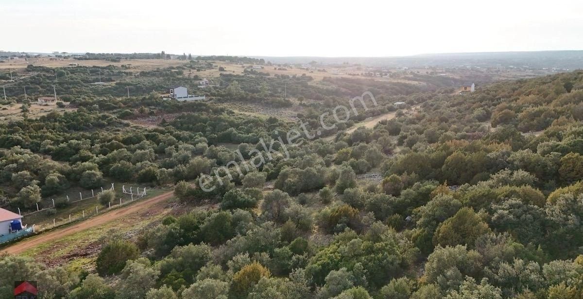Didim Kardelen Mevkiinde Satılık Müstakil Arsa - Görsel 24