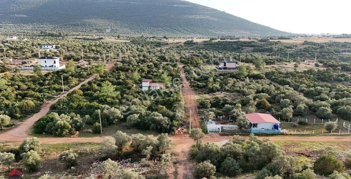 Didim Kardelen Mevkiinde Satılık Müstakil Arsa - Görsel 13