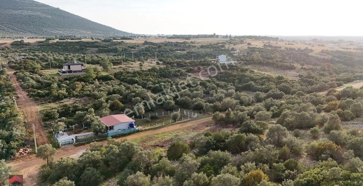 Didim Kardelen Mevkiinde Satılık Müstakil Arsa - Görsel 6