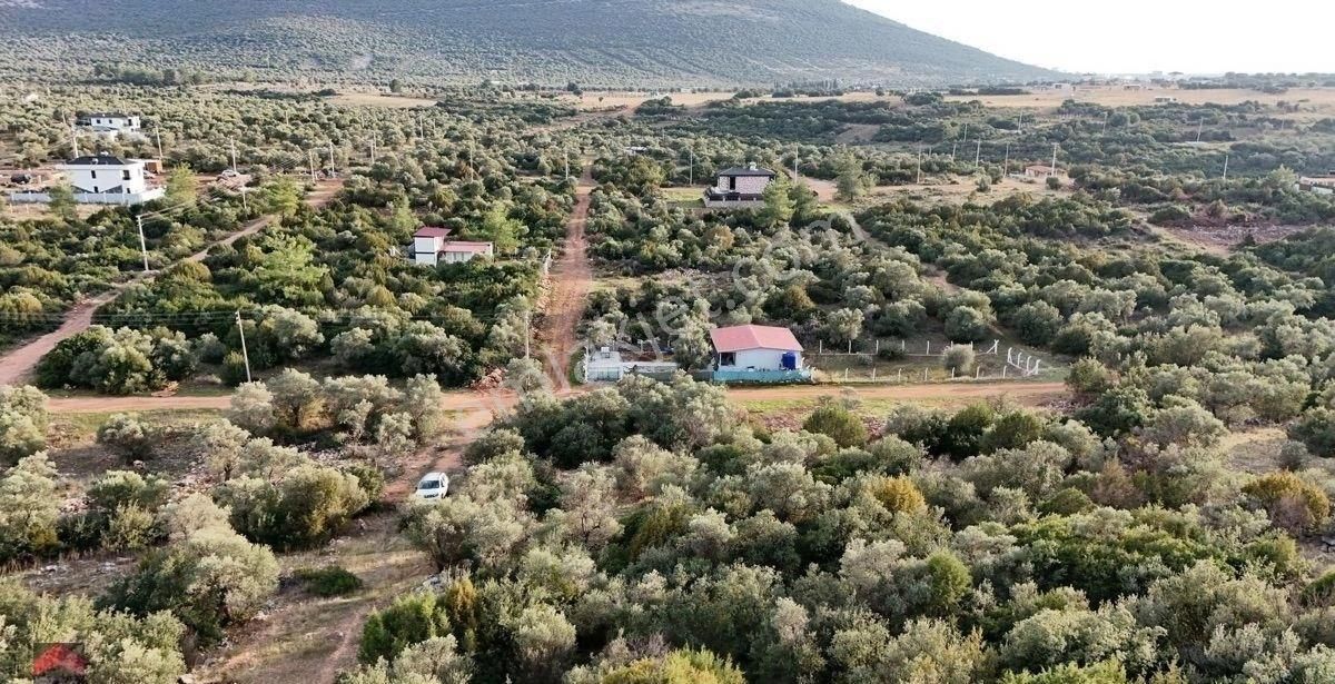 Didim Kardelen Mevkiinde Satılık Müstakil Arsa - Görsel 2