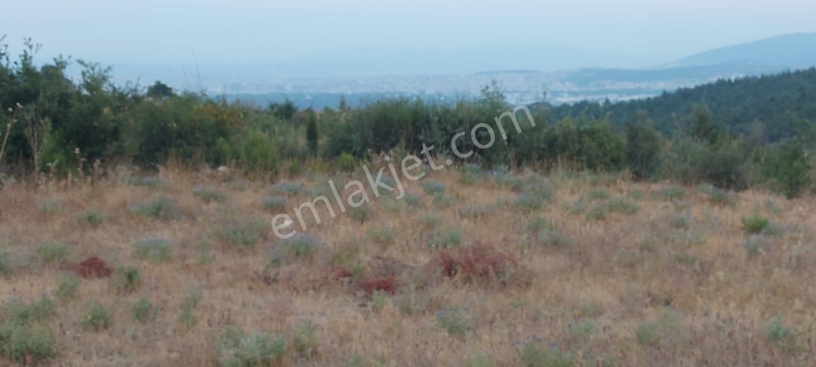 Nilüfer Tahtalı Da Manzaralı 1450 M2 Arazi - Görsel 18