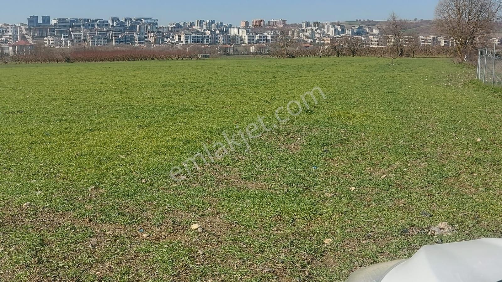 Kayapa Asfalt Yola Bir Parsel Mesafede 1930m2 Satılık Arazi 20/3 - Görsel 25