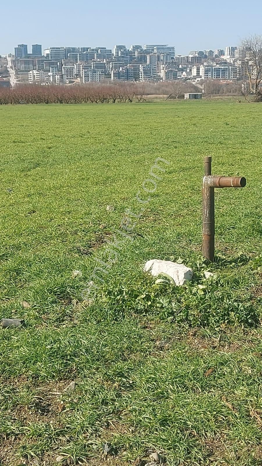 Kayapa Asfalt Yola Bir Parsel Mesafede 1930m2 Satılık Arazi 20/3 - Görsel 29