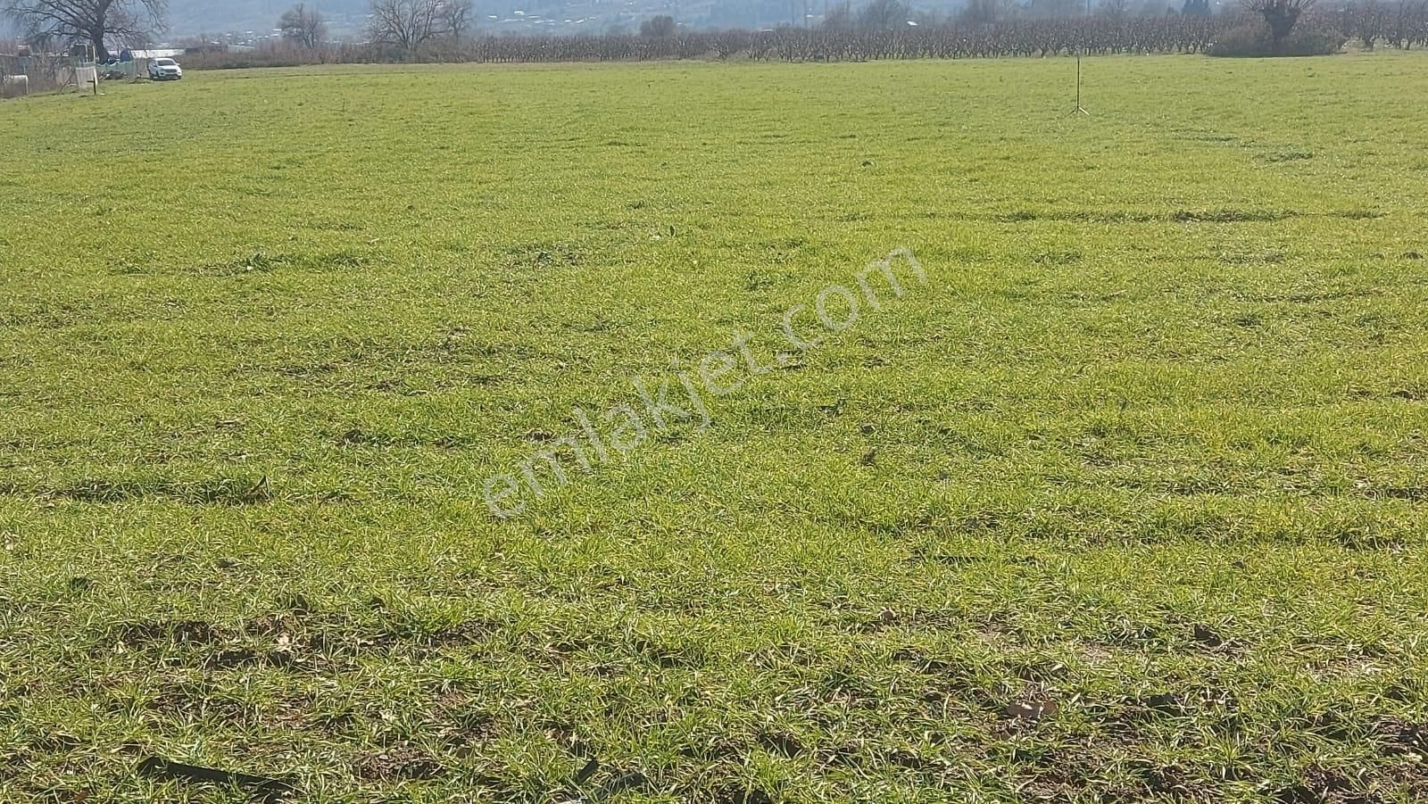 Kayapa Asfalt Yola Bir Parsel Mesafede 1930m2 Satılık Arazi 20/3 - Görsel 20