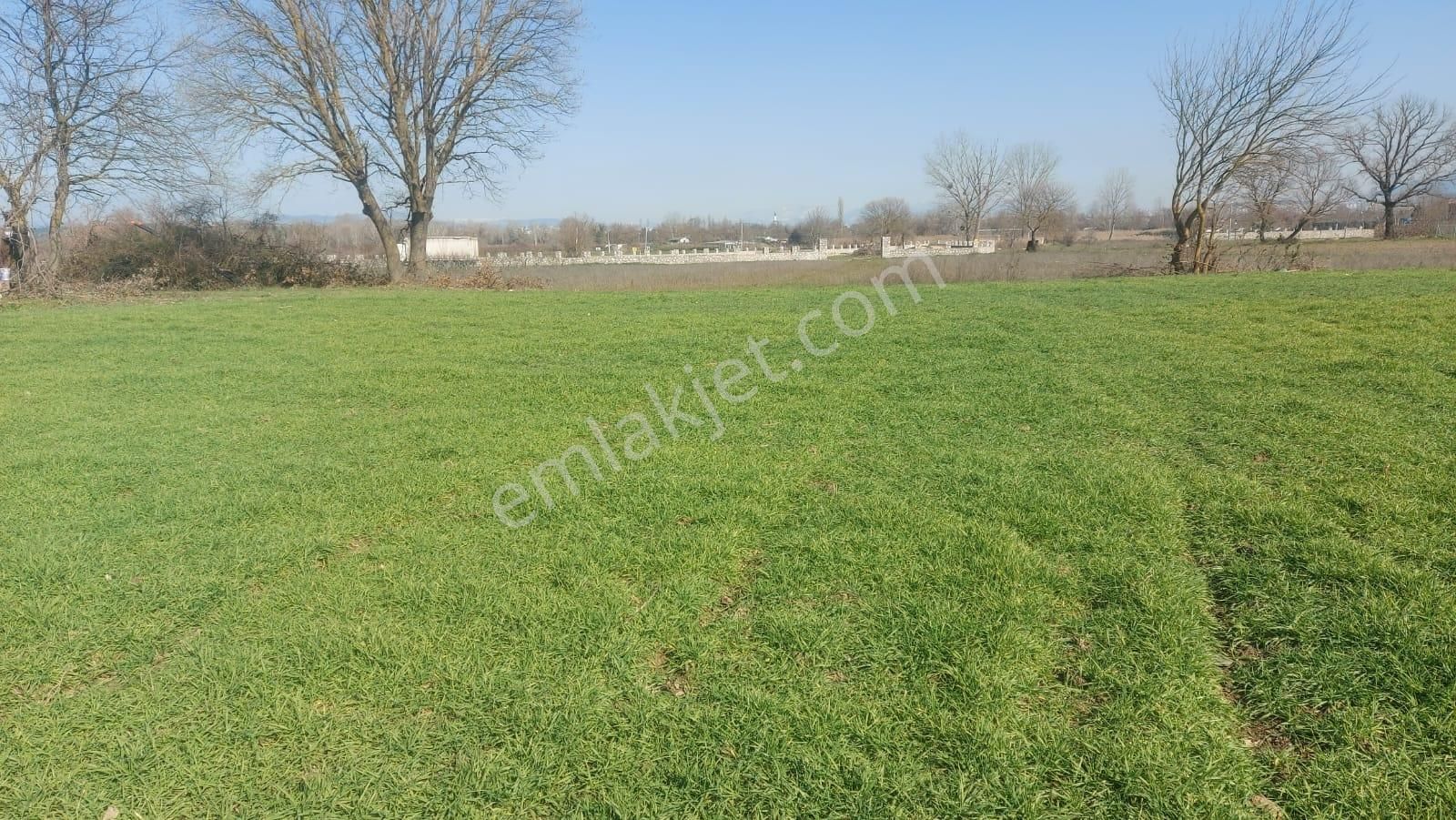 Kayapa Asfalt Yola Bir Parsel Mesafede 1930m2 Satılık Arazi 20/3 - Görsel 17