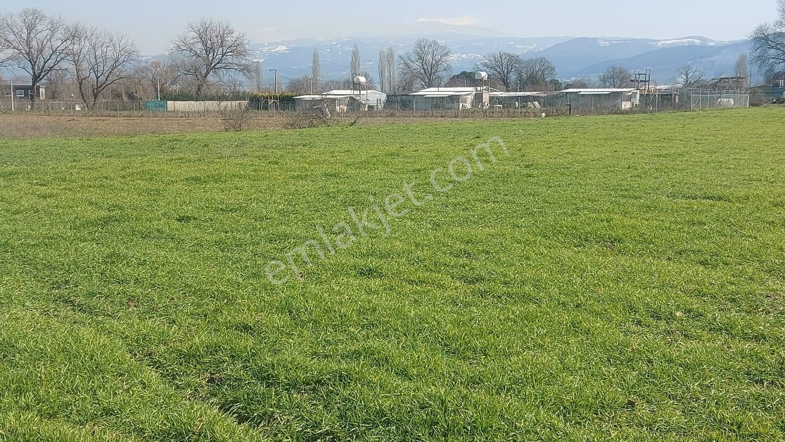 Kayapa Asfalt Yola Bir Parsel Mesafede 1930m2 Satılık Arazi 20/3 - Görsel 33