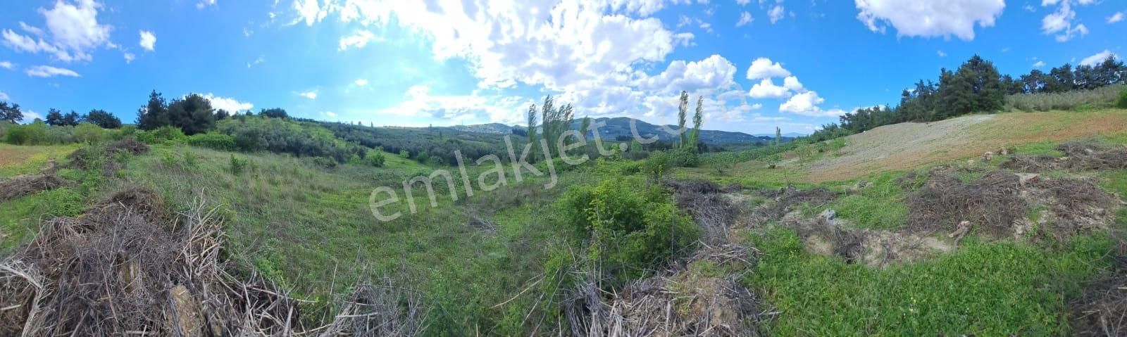 Mudanya Çepni De 620 M2 Hobi Bahçesi - Görsel 13