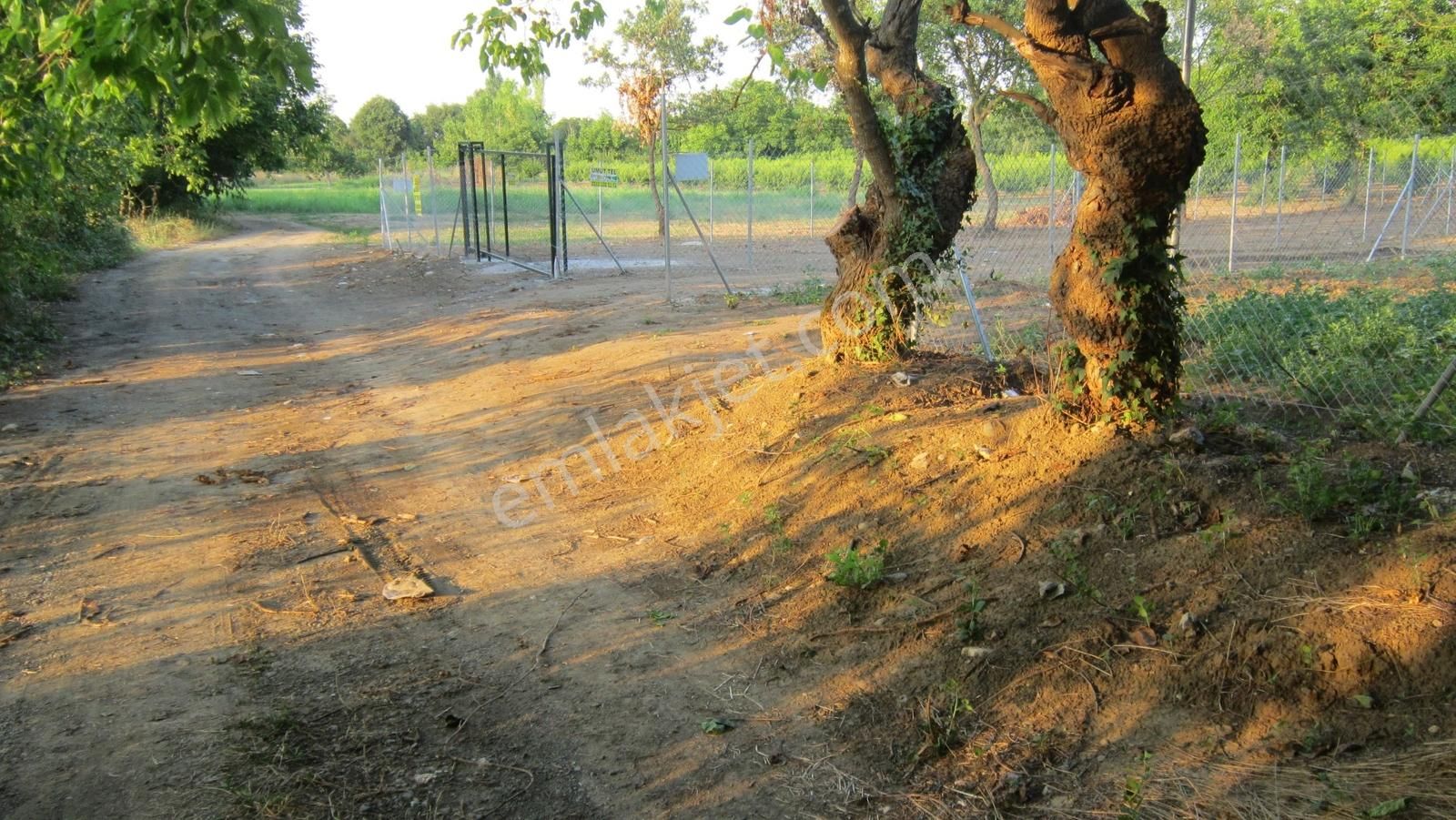 Kayapa Da Kadastro Yoluna Cephe Tel Örgülü 560 M2 Hobi Bahçesi - Görsel 10