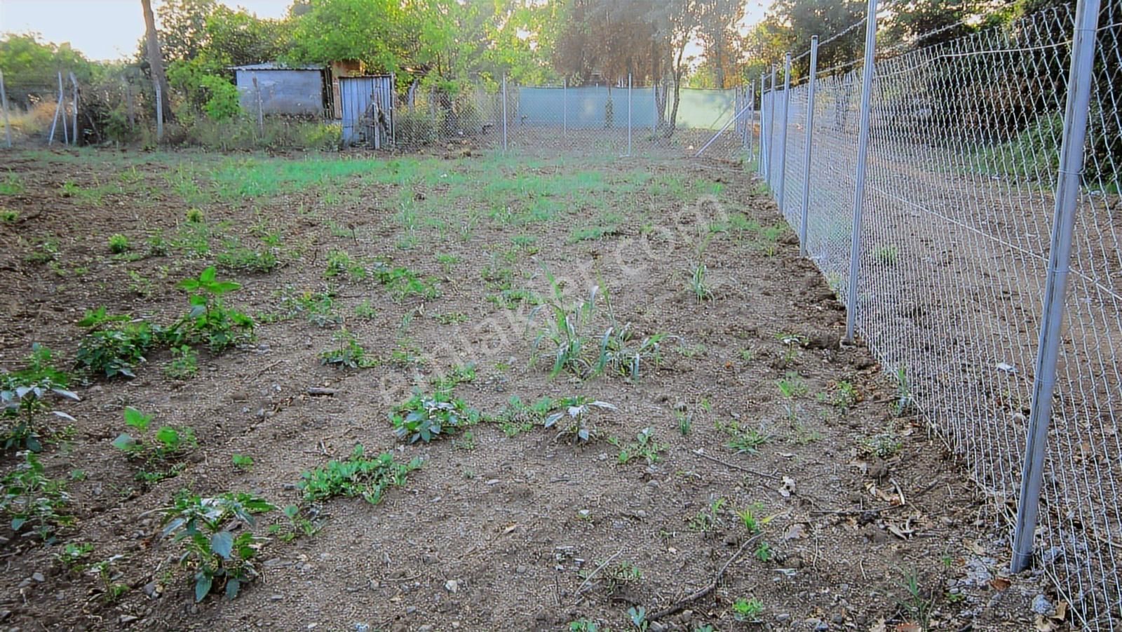 Kayapa Da Kadastro Yoluna Cephe Tel Örgülü 560 M2 Hobi Bahçesi - Görsel 5
