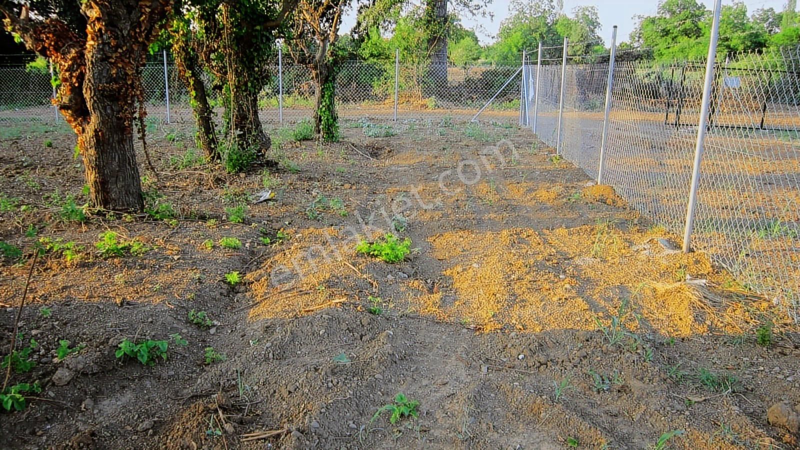 Kayapa Da Kadastro Yoluna Cephe Tel Örgülü 560 M2 Hobi Bahçesi - Görsel 26