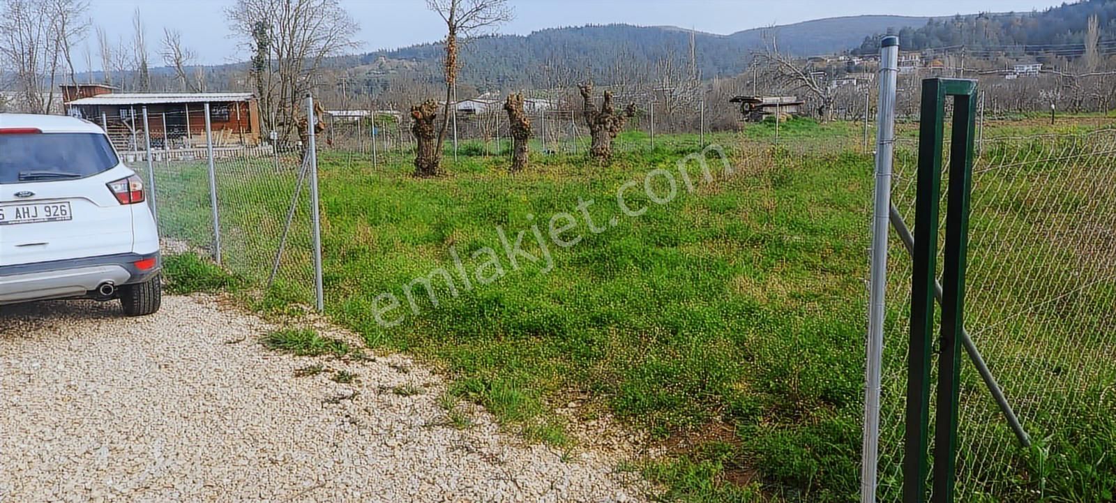 Kayapa Da Kadastro Yoluna Cephe Tel Örgülü 560 M2 Hobi Bahçesi - Görsel 22