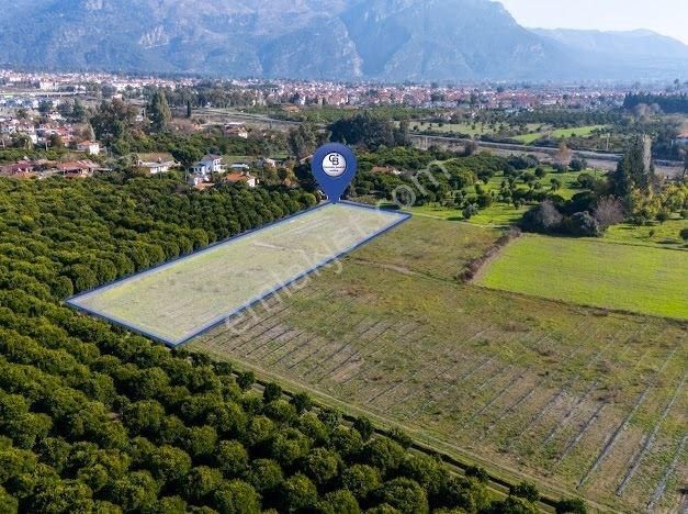Muğla Köyceğiz Ulucami De Muhteşem Konumlu Ve Manzaralı Tarla - Görsel 8