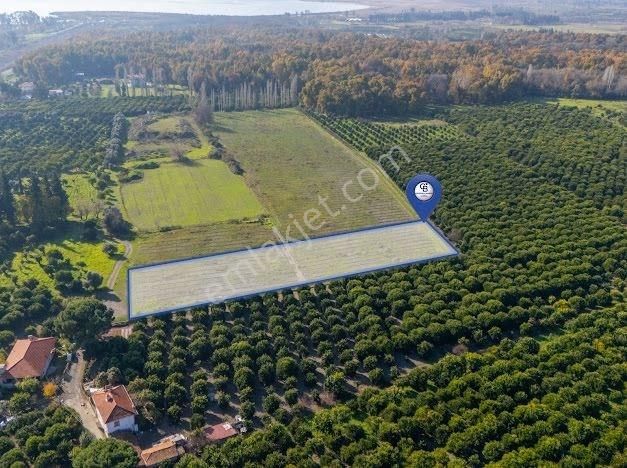 Muğla Köyceğiz Ulucami De Muhteşem Konumlu Ve Manzaralı Tarla - Görsel 2