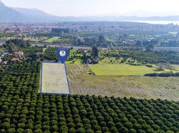 Muğla Köyceğiz Ulucami De Muhteşem Konumlu Ve Manzaralı Tarla - Görsel 4