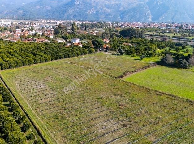 Muğla Köyceğiz Ulucami De Muhteşem Konumlu Ve Manzaralı Tarla - Görsel 15