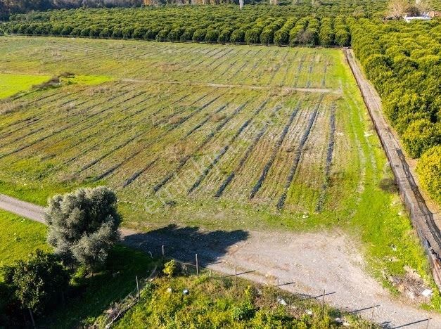 Muğla Köyceğiz Ulucami De Muhteşem Konumlu Ve Manzaralı Tarla - Görsel 13