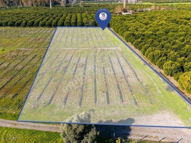 Muğla Köyceğiz Ulucami De Muhteşem Konumlu Ve Manzaralı Tarla - Görsel 5