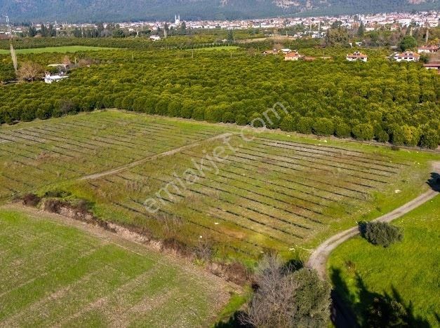 Muğla Köyceğiz Ulucami De Muhteşem Konumlu Ve Manzaralı Tarla - Görsel 16
