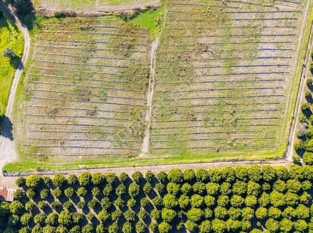 Muğla Köyceğiz Ulucami De Muhteşem Konumlu Ve Manzaralı Tarla - Görsel 10