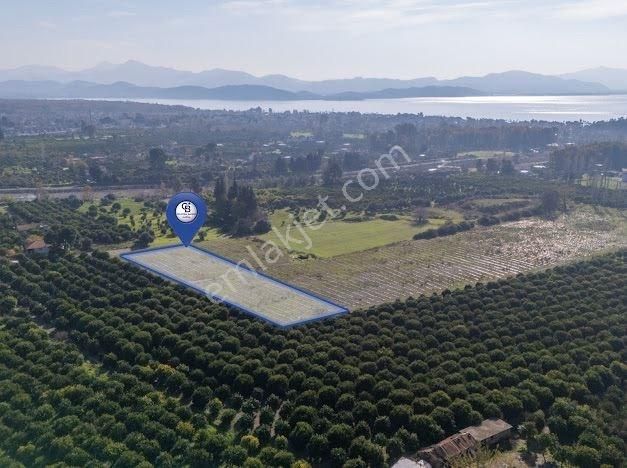 Muğla Köyceğiz Ulucami De Muhteşem Konumlu Ve Manzaralı Tarla - Görsel 3