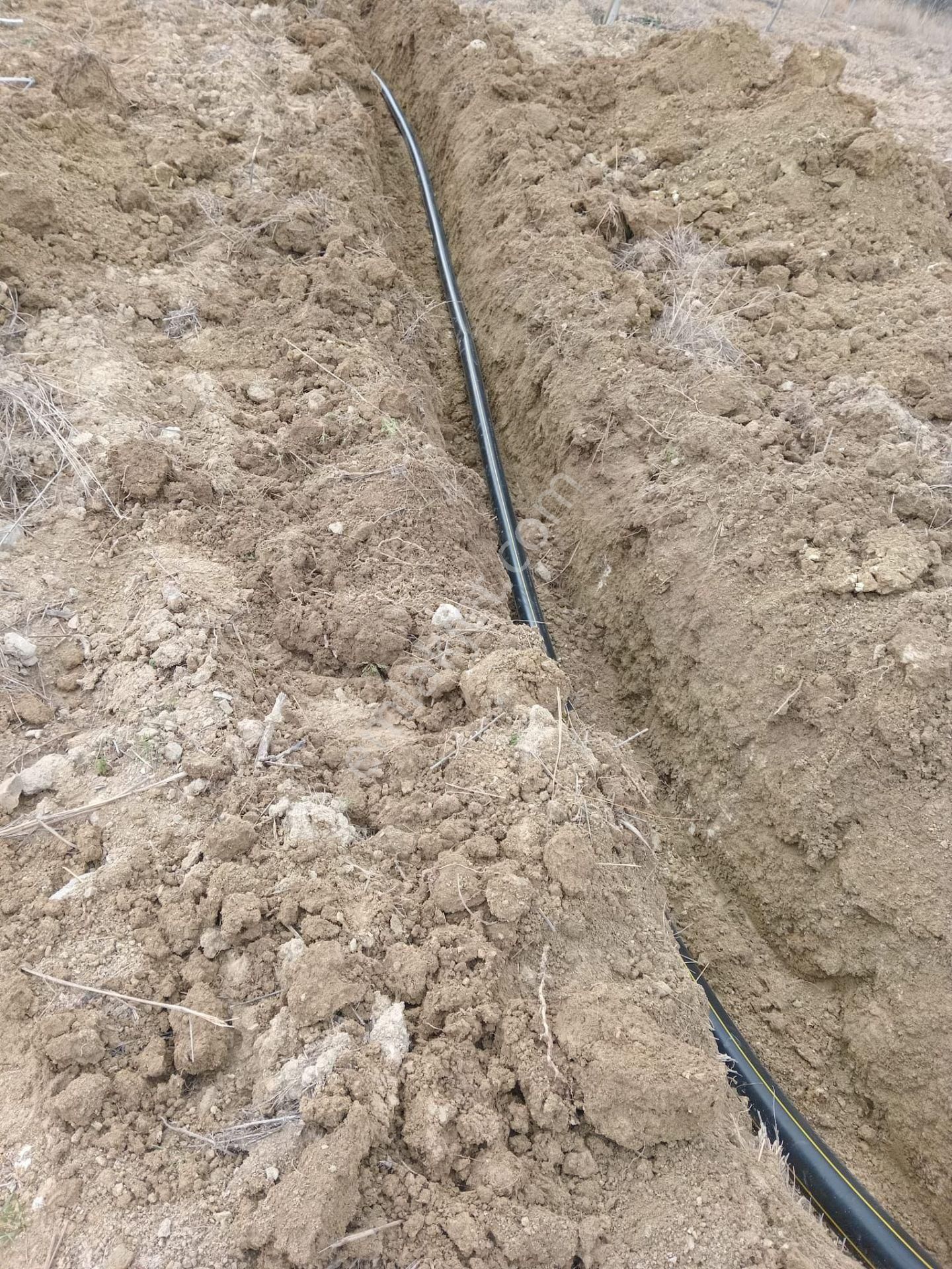 Denizli Tavas Ulukentte 37.000 M2 Ceviz Bahçesi Satılık - Görsel 5