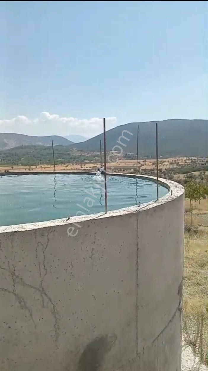 Denizli Tavas Ulukentte 37.000 M2 Ceviz Bahçesi Satılık - Görsel 2